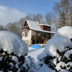 House with the pool and fenced garden