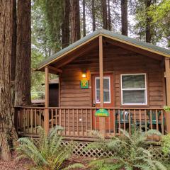 翡翠森林山林小屋