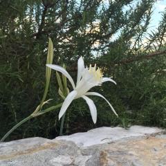 Ca' di Bianca