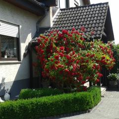 Ferienwohnung Schmetterling