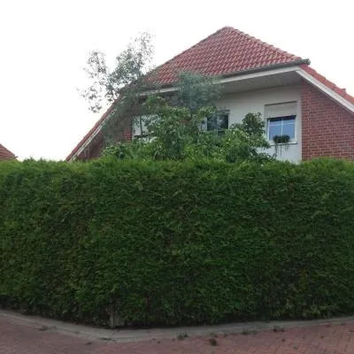 Ruhiges Zimmer direkt an den Leineauen，位于黑明根的酒店