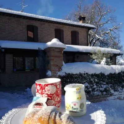 Il Castagneto，位于卡梅里诺的酒店