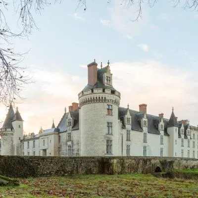 The Originals le Château de Dissay Poitiers，位于Dissay的酒店