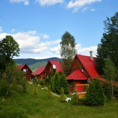 Teremok Guest House，位于维什卡的酒店