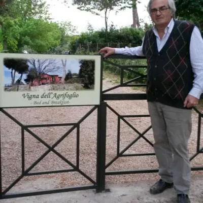 Vigna dell'Agrifoglio - Bed and Breakfast，位于韦莱特里的酒店