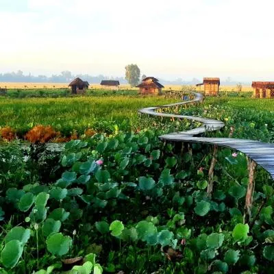 Việt Mekong Farmstay，位于Tràm Chim的酒店