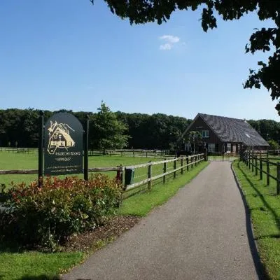 Recreatieoord Hippique，位于Westendorp的酒店
