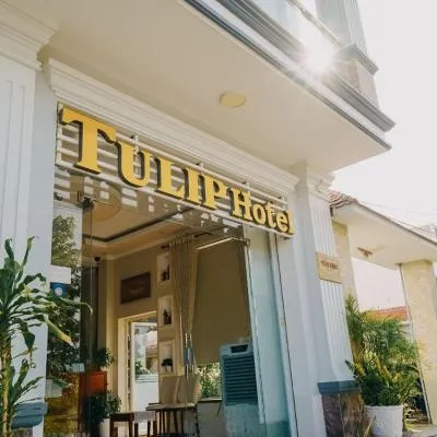郁金香酒店，位于芹苴的酒店
