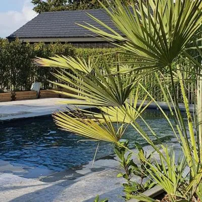 PINE COTTAGE- 5 minutes Francorchamps - charme -piscine-calme-jardin，位于Sart的酒店