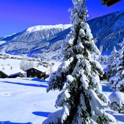 Studio mit traumhafter Aussicht，位于Ritzingen的酒店