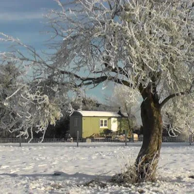 the abberton shepherds hut，位于伊夫舍姆的酒店