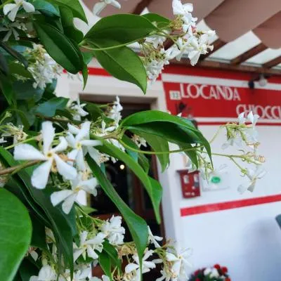 罗堪达奇欧西奥拉旅馆，位于Quero的酒店