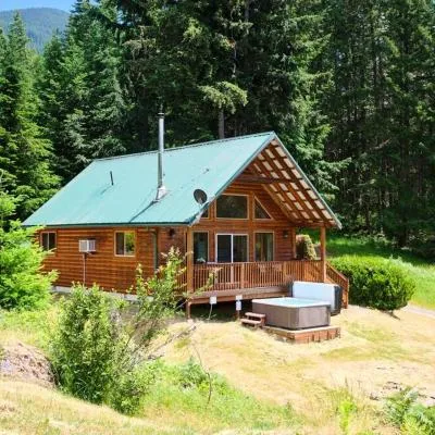Mountain View Cabin, Hot Tub at Mt Rainier，位于帕克伍德的酒店