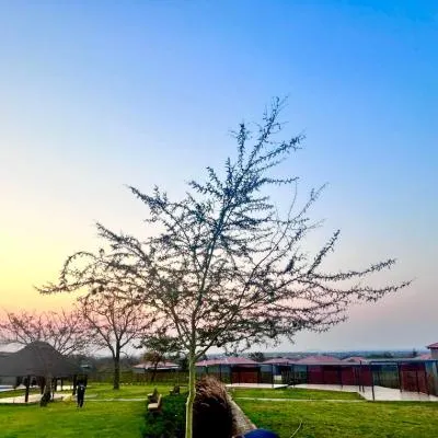 CyC Guest Lodge，位于Giyani的酒店