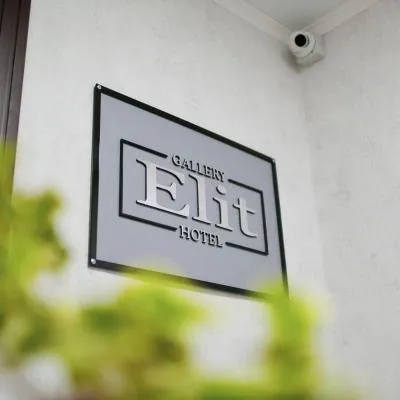 Gallery Elit Hotel，位于Dunaivtsi的酒店