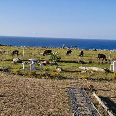 Wild Coast Grosvenor Holiday Home，位于Lusikisiki的酒店