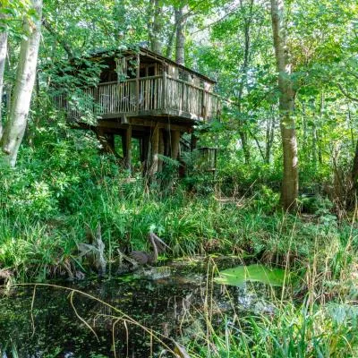 The Treehouse at Castle Cottage，位于普尔伯勒的酒店