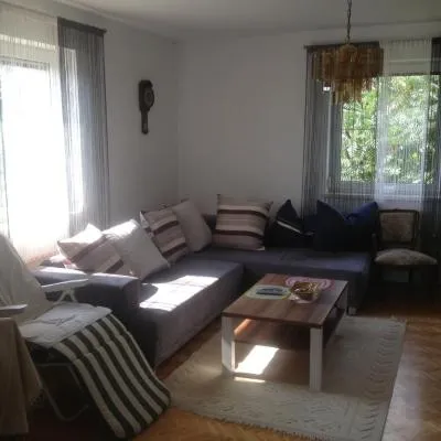 Spacious apartment near Linz, Wels & Marchtrenk，位于Buchkirchen的酒店