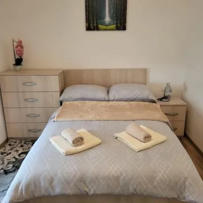 Apartman Janja，位于查普利纳的酒店