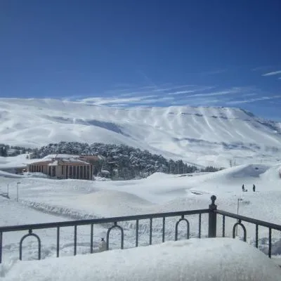 雪松宫殿公寓，位于阿尔·阿尔兹的酒店