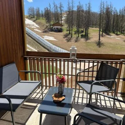 Christiana studios en hyper centre de Valberg aux pieds des pistes，位于瓦尔堡的酒店