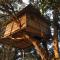 Pemsee's Tree Town - Eco Treehouse Hostel