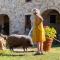 Agriturismo Sole