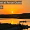 Amon guest house