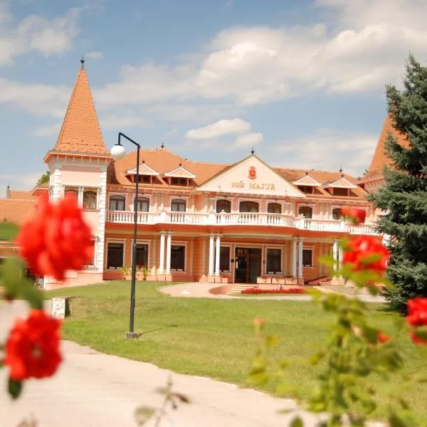Hotel Villa Majur，位于苏博蒂察的酒店