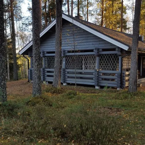 Ruokolahti Cottage，位于鲁奥科拉赫蒂的酒店