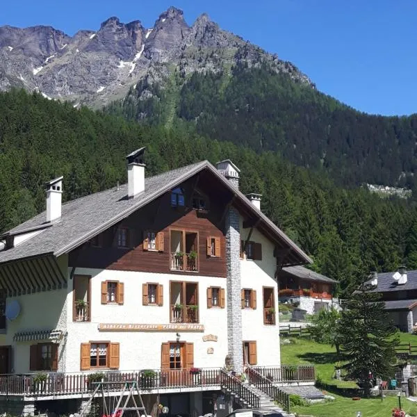 皮佐德尔弗雷特酒店，位于Alpe Ciamporino的酒店