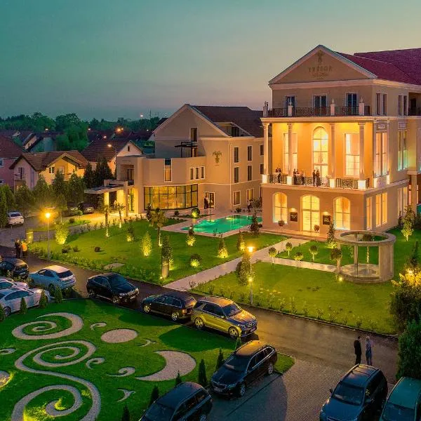 Hotel Tresor Le Palais，位于Pădureni的酒店