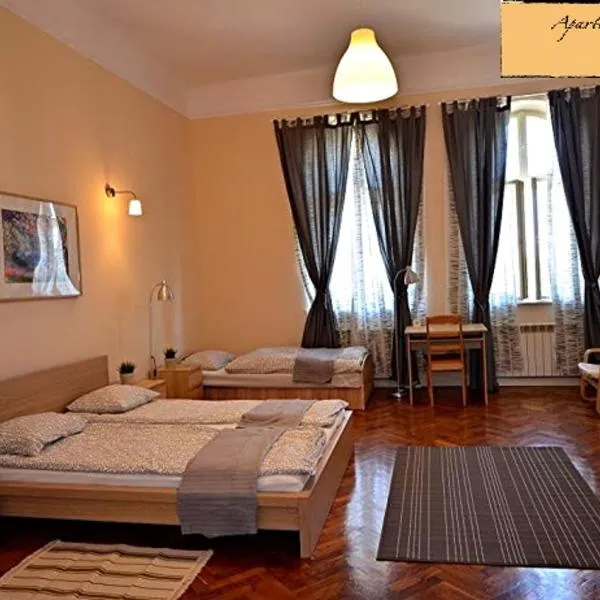 Apartament Dworski Przemyśl，位于普热梅希尔的酒店