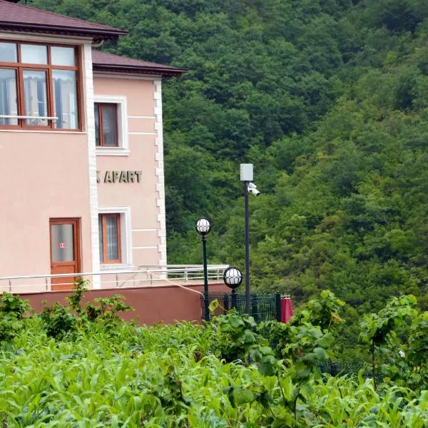 卡姆利克公寓，位于Altındere的酒店