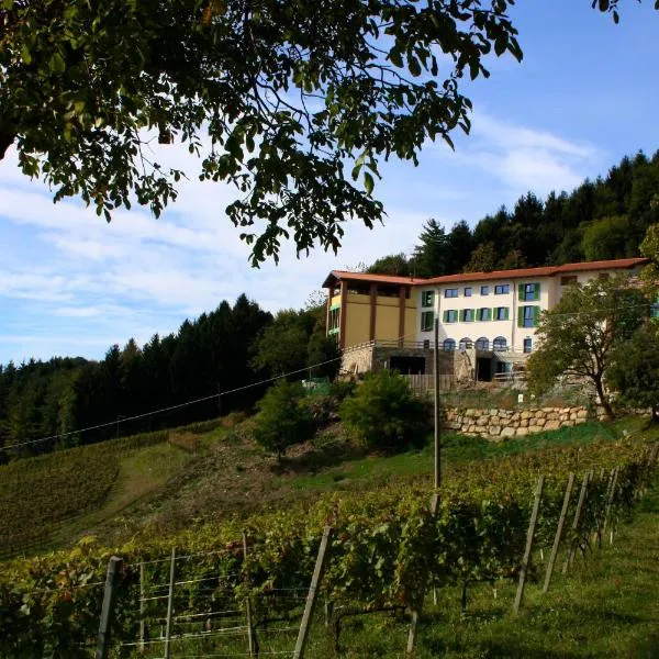 Polisena L'Altro Agriturismo Veg，位于Pontida的酒店