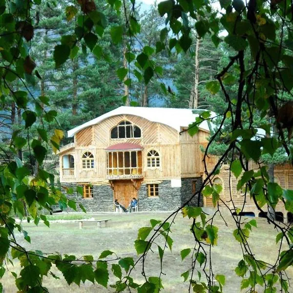 Hotel Tusheti，位于Dzhvarboseli的酒店