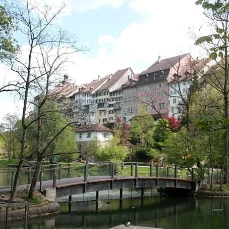 Bett am Weiher，位于Schmidrüti的酒店