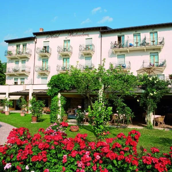 Hotel Belvedere，位于托里德尔贝纳科的酒店