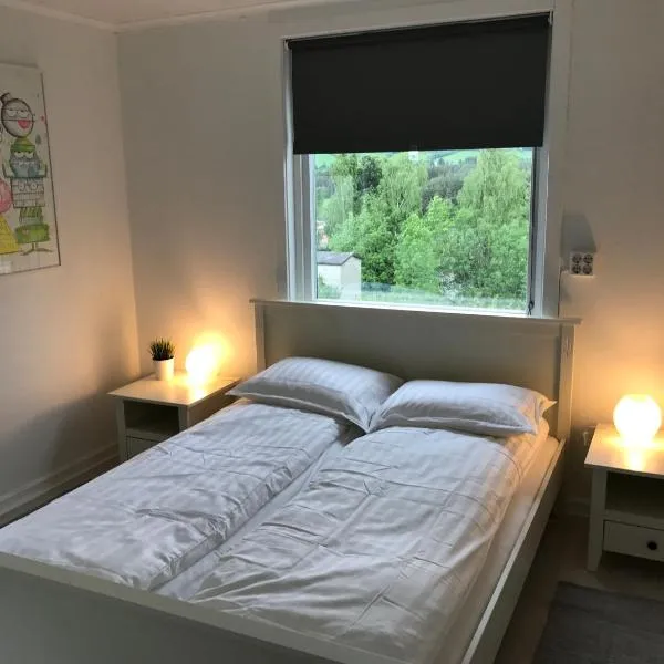 Vinstra Hostel，位于温斯特拉的酒店