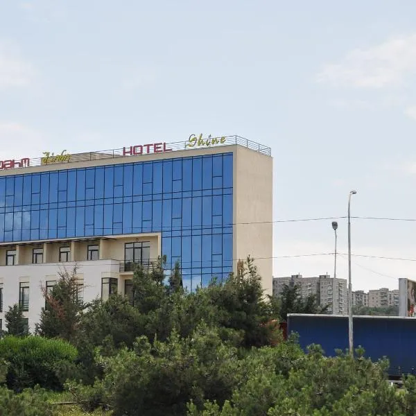 闪耀宫酒店，位于Zemo Avchala的酒店