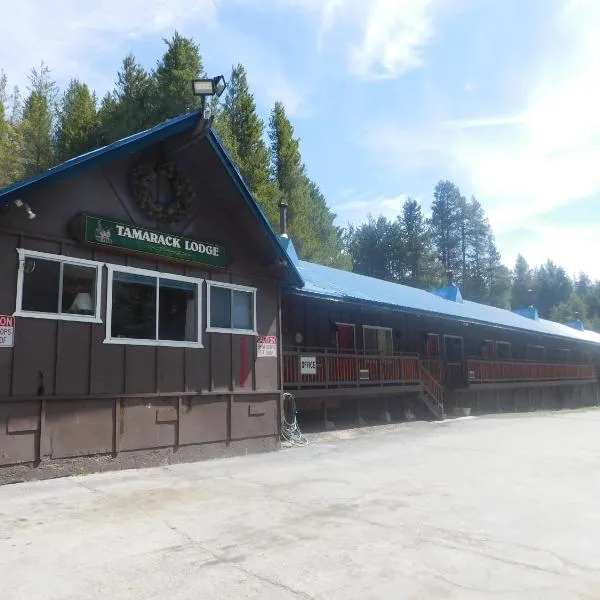 塔马拉克旅馆 ，位于Shaver Lake Heights的酒店