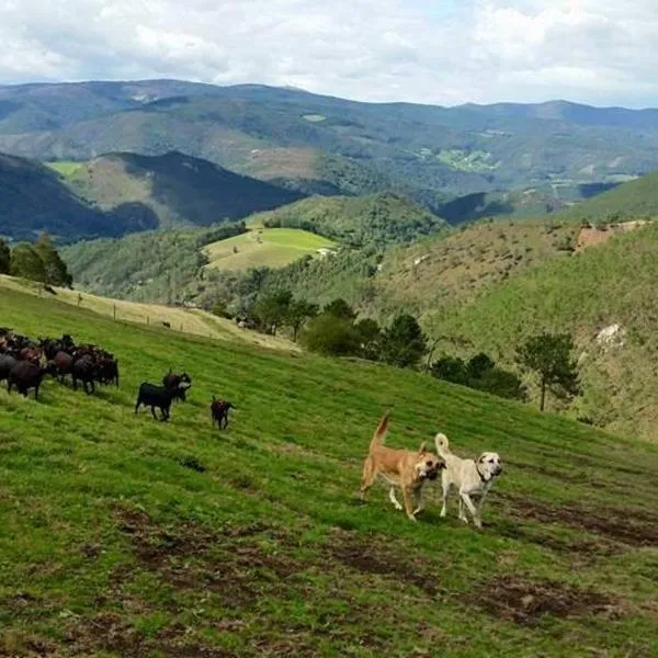 Hotel Rural Yeguada Albeitar，位于Villayón的酒店