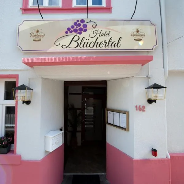 布旅彻托旅馆，位于Kisselbach的酒店