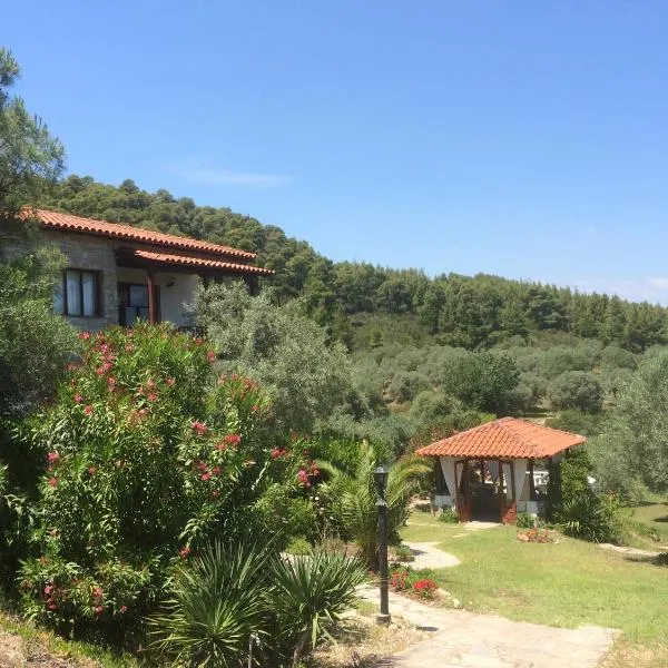 雷纳别墅酒店，位于沃尔沃罗的酒店