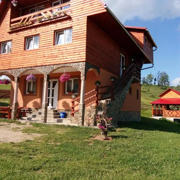 冰川旅馆，位于Giurgesti的酒店
