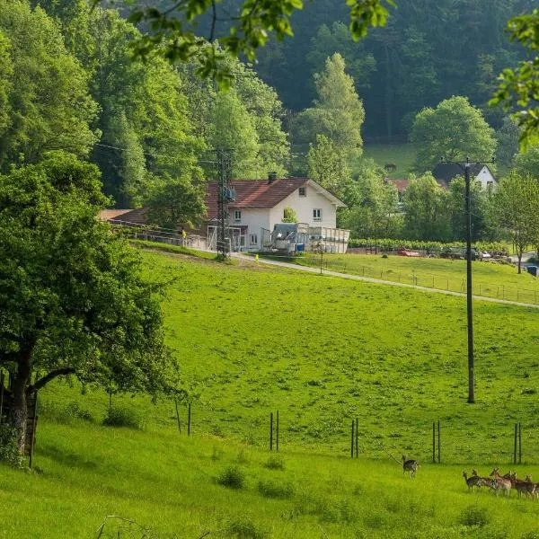 "Natur pur" Refugium für Mensch und Tier，位于Horgenzell的酒店