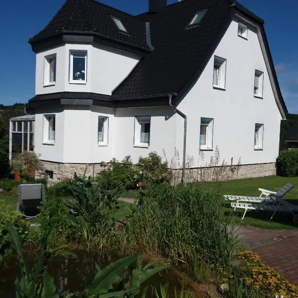 Haus Elsholz Usseln FeWo Birke，位于维林根的酒店