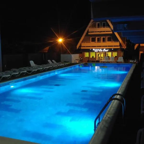 Pensiunea La Castel - Piscina incalzita，位于科斯蒂内什蒂的酒店