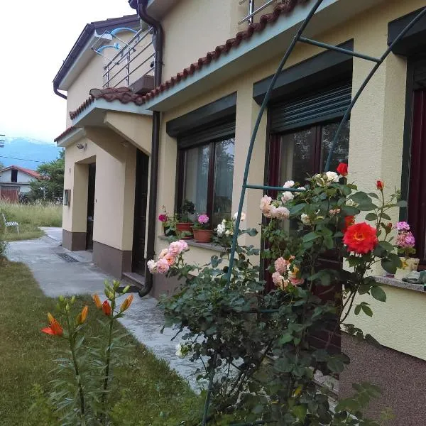 Apartment Frane Grobnik，位于Dražice的酒店