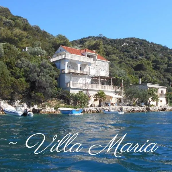 Villa Maria，位于Otok Lastovo的酒店